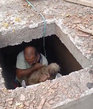 Havuz makine dairesi inşaatına düşen köpeği inşaat çalışanları kurtardı