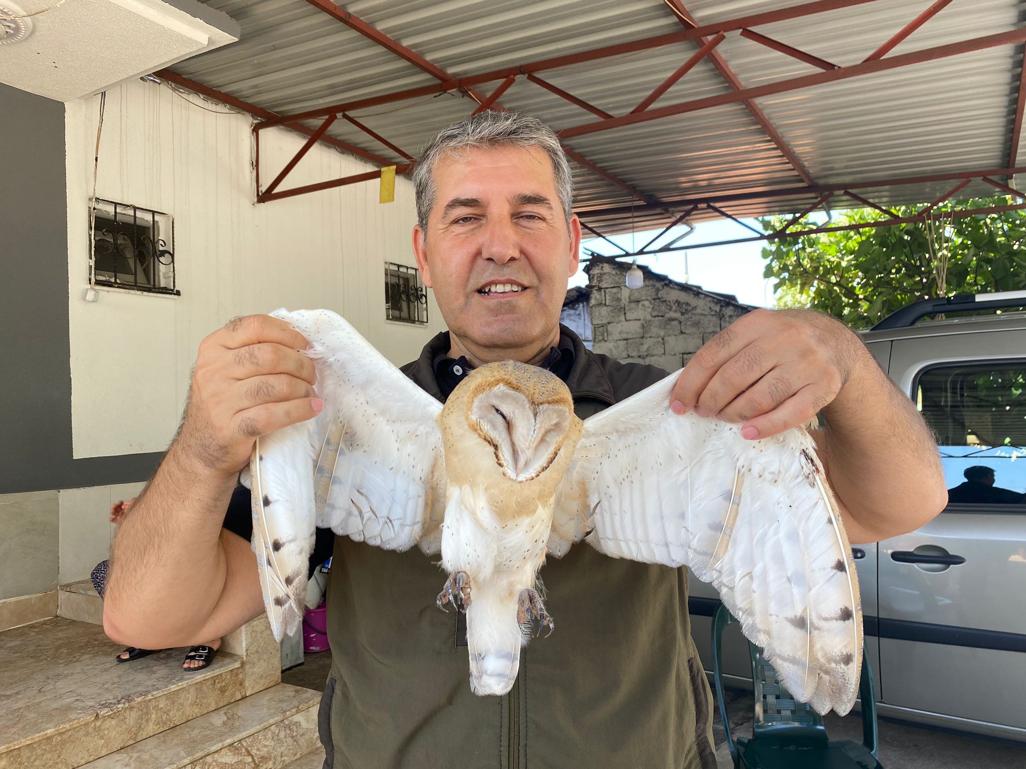 Türkiye’de nadir görülen peçeli baykuş, Serik'te evin bahçesinde bulundu