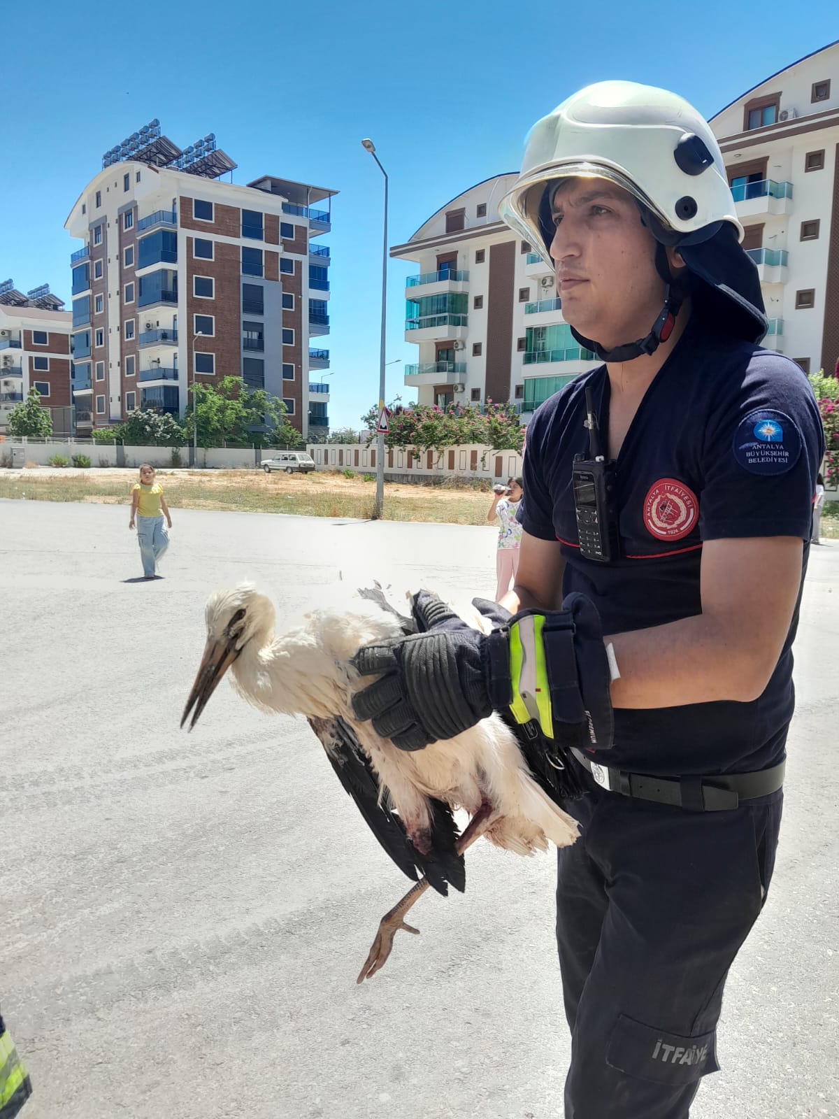 Cami kubbesinde mahsur kalan yaralı leyleğe kurtarma operasyonu